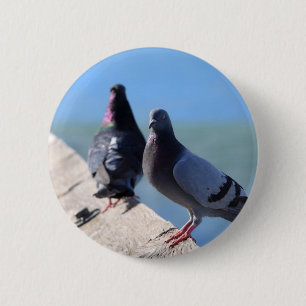 duif ronde button 5,7 cm