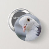 duif ronde button 5,7 cm (Voorkant /achterkant)