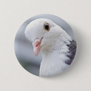 duif ronde button 5,7 cm