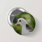 duif ronde button 5,7 cm (Voorkant /achterkant)