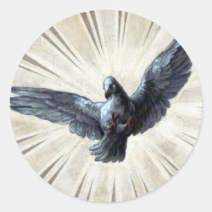 duif ronde sticker