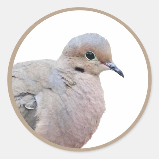 duif ronde sticker (Voorkant)