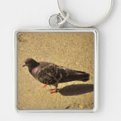 duif sleutelhanger (Voorkant)