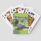 duif speelkaarten (Achterkant)