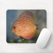 Duif Steen Discus Muismat (Met muis)