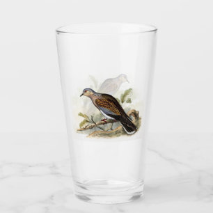 Duif Streptopelia Schilderij Natuur Vogels Kunst Glas