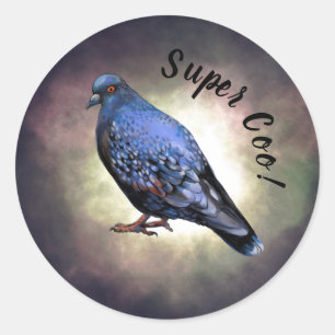 Duif, super coo. Klassieke ronde Sticker