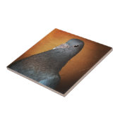 duif tegeltje (Zijkant)