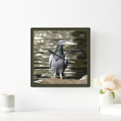 Duif Vierkante Klok (Huis)