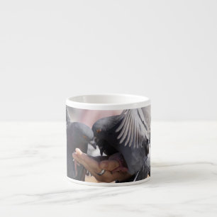 Duif Vogels Kleurrijke Vleugels Foto Voor Vogellie Espresso Kop