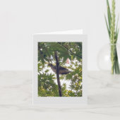 duif wachten kaart (Voorkant)