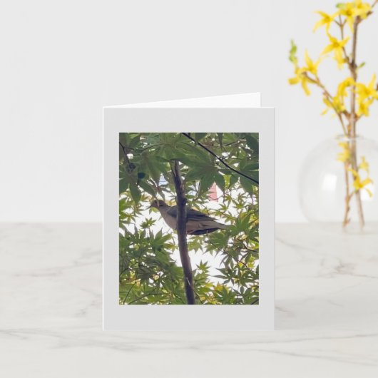 duif wachten kaart (Gele Bloem)