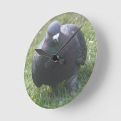 Duifduikkurk Ronde Klok (Hoek)