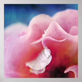 Duifjes op Roze Roze Macro Abstract Poster