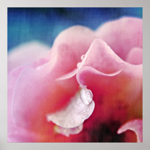 Duifjes op Roze Roze Macro Abstract Poster