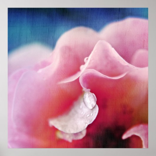 Duifjes op Roze Roze Macro Abstract Poster (Voorkant)