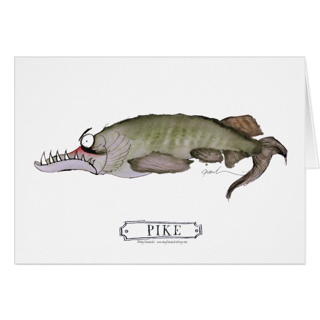 Duifvis, tonifernandes (Voorkant Horizontaal)