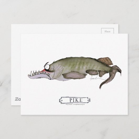 Duifvis, tonifernandes briefkaart (Voorkant / Achterkant)