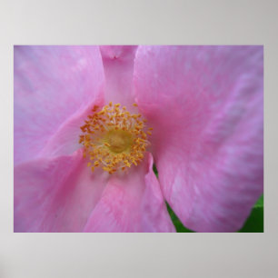 Duik in de bloemenzone! poster