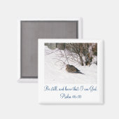 Duik in de Sneeuw Scipture Magnet (Voorkant / Achterkant)