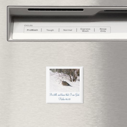 Duik in de Sneeuw Scipture Magnet (Insitu (Vaatwasser))