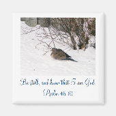 Duik in de Sneeuw Scipture Magnet (Voorkant)