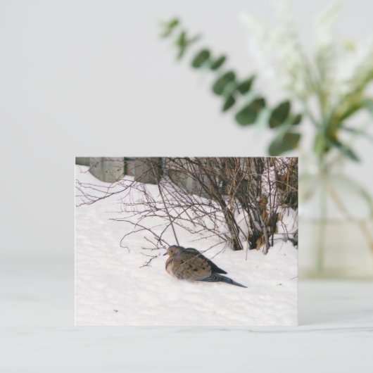 Duik in het Sneeuw Briefkaart (Staand voorkant)