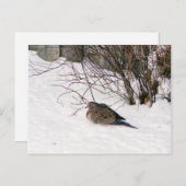 Duik in het Sneeuw Briefkaart (Voorkant / Achterkant)