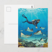 Duiken met stingrays briefkaart (Voorkant / Achterkant)