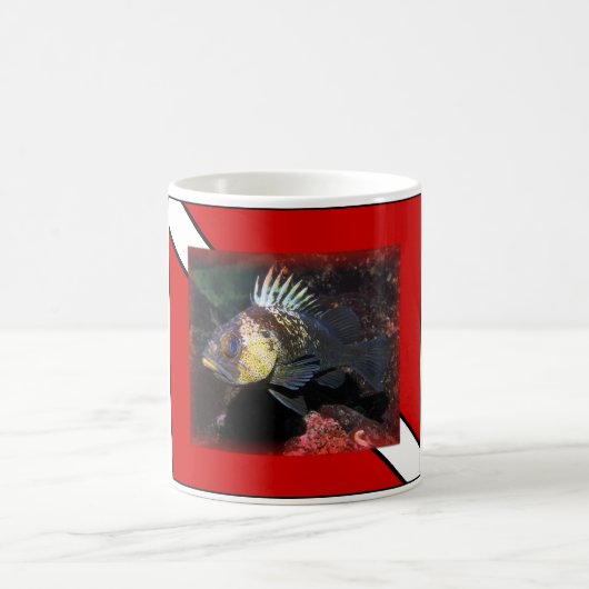 Duiken Rockfish Koffiemok (Center)