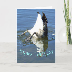 Duikende gans Verjaardag Kaart