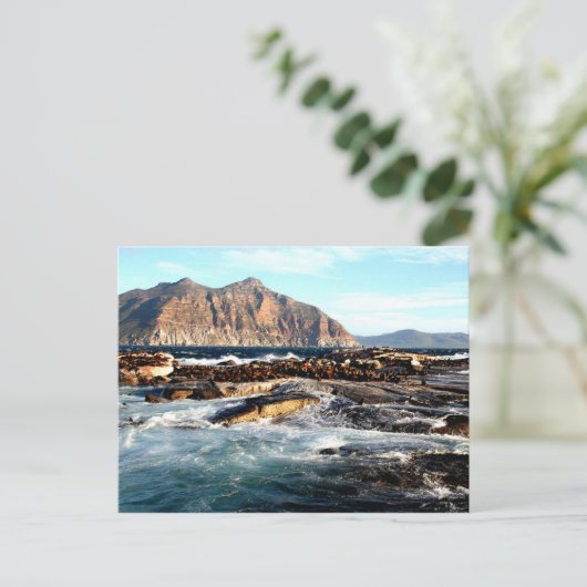 Duiker-eiland, Zuid-Afrika Briefkaart (Staand voorkant)