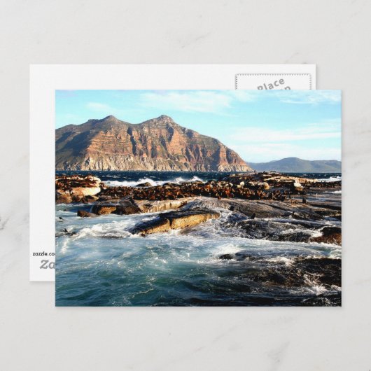 Duiker-eiland, Zuid-Afrika Briefkaart (Voorkant / Achterkant)