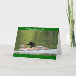 Duiker en baby - het denken aan u kaart