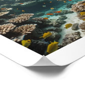 Duiker geniet van een gezond rif poster (Hoek)