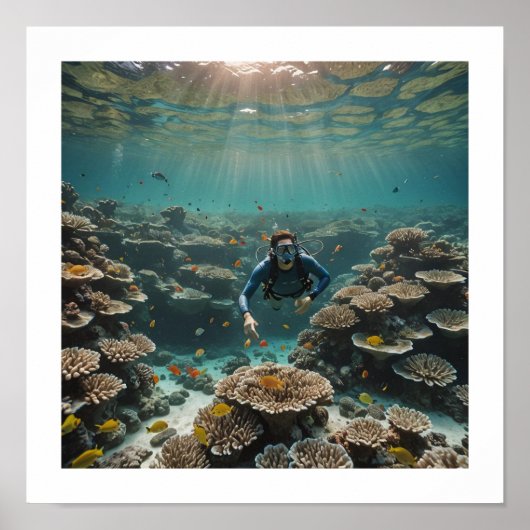 Duiker geniet van een gezond rif poster (Voorkant)