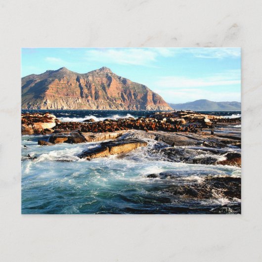 Duiker Island, Briefkaart Zuid-Afrika (Voorkant)
