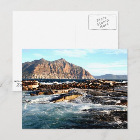 Duiker Island, Zuid-Afrika Briefkaart (Voorkant / Achterkant)