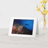 Duiker op het Wenskaart van de Ertsader Kaart (Gele Bloem)