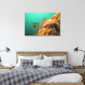 duiker & Schorpioenvis Scorpanopsis Canvas Afdruk (Insitu (Slaapkamer))