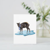 Duiker - vakantiekaart feestdagenkaart (Staand voorkant)