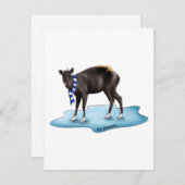 Duiker - vakantiekaart feestdagenkaart (Voorkant / Achterkant)