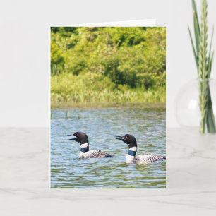 Duikers die anderen roepen kaart