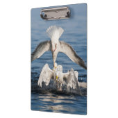 Duikers Klembord (Links)