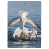 Duikers Klembord (Achterkant)