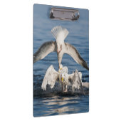 Duikers Klembord (Rechts)