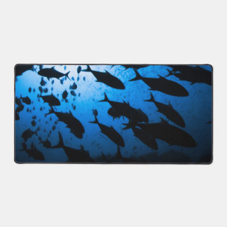 duikschool voor vissen bureaumat