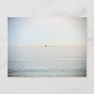 duikwalvis briefkaart