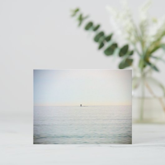 duikwalvis briefkaart (Staand voorkant)