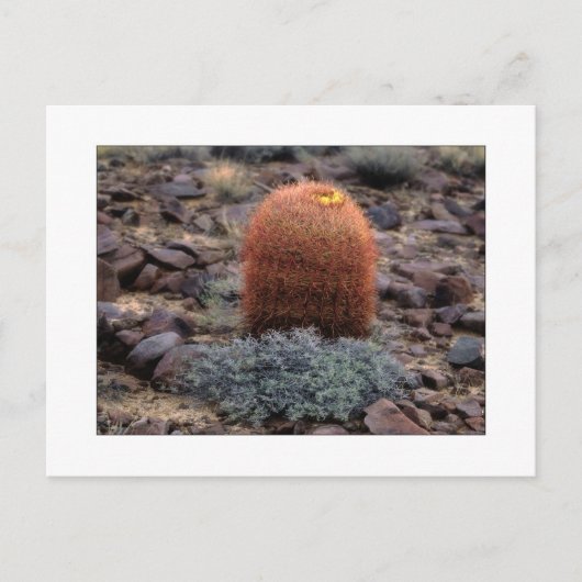 "Duimen omhoog" Briefkaart (Voorkant)